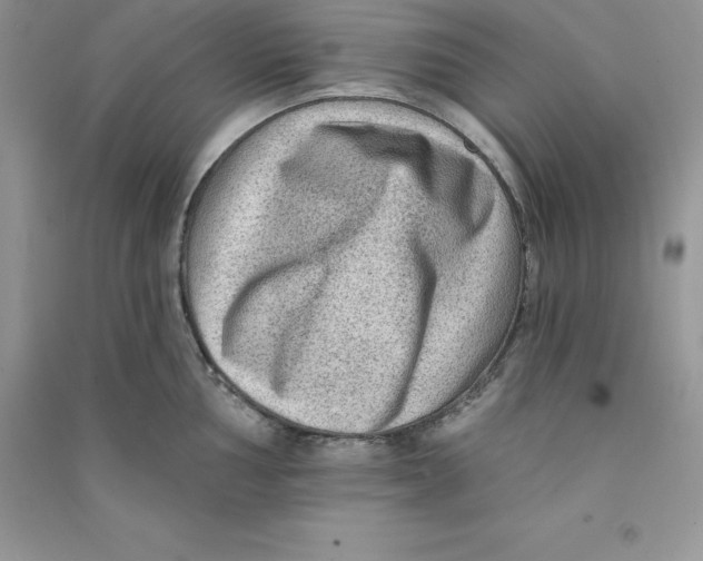 X0000090731002200708171944