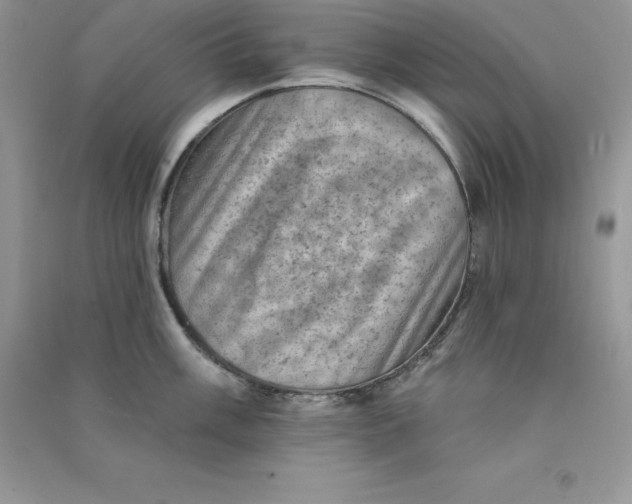 X0000090731003200708171944