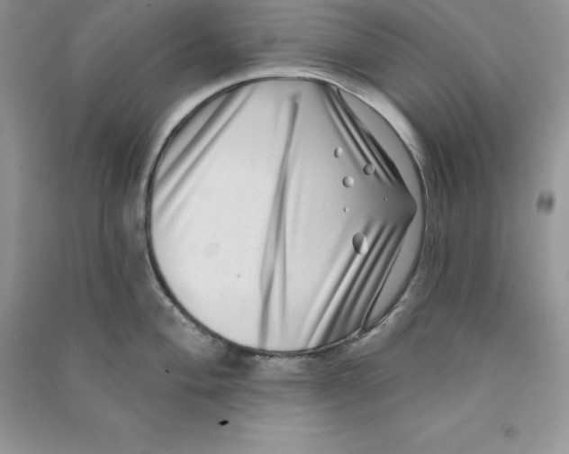 X0000090731004200708171944