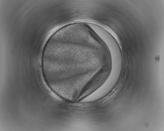 X0000090731005200708171944