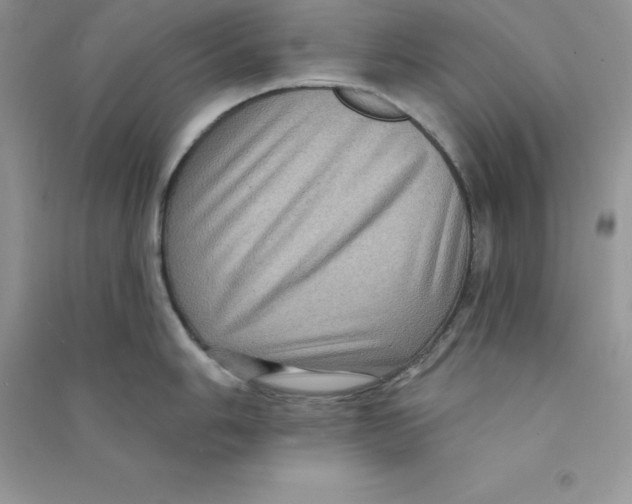 X0000090731006200708171944