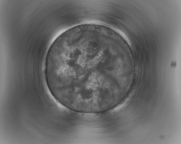 X0000090731007200708171944