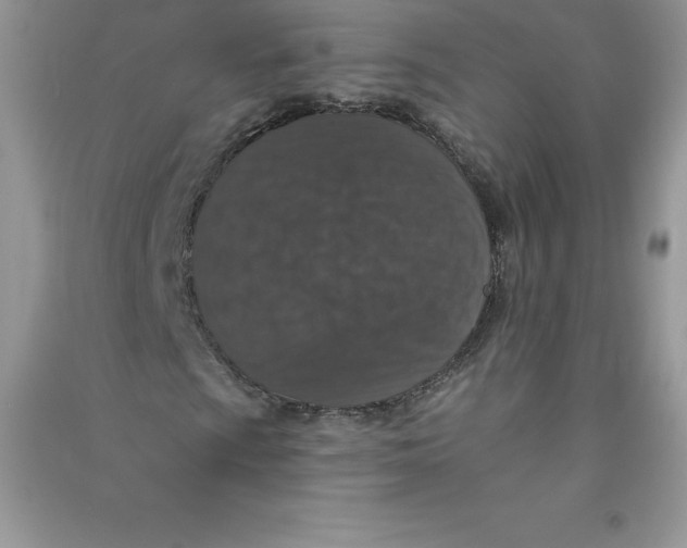 X0000090731009200708171943