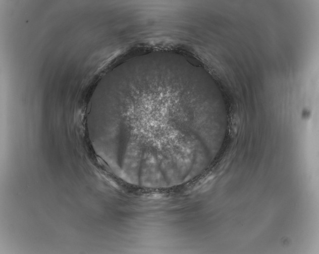 X0000090731010200708171943