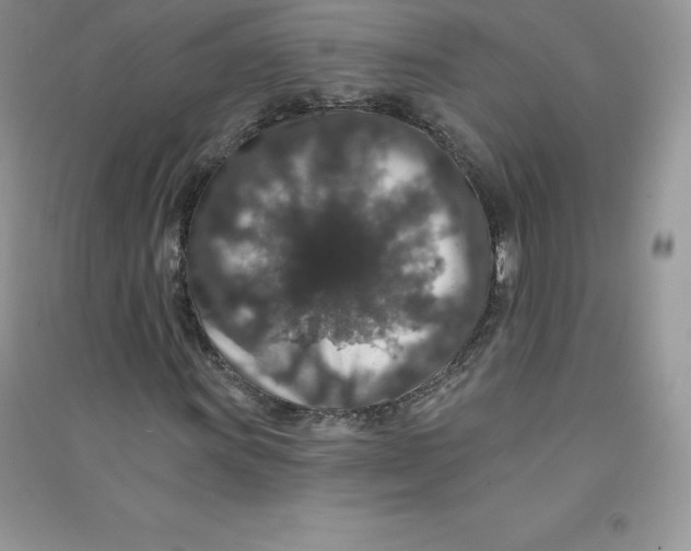 X0000090731011200708171943