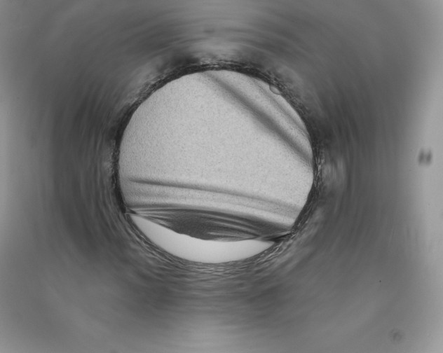 X0000090731012200708171943