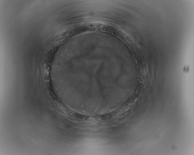 X0000090731013200708171943