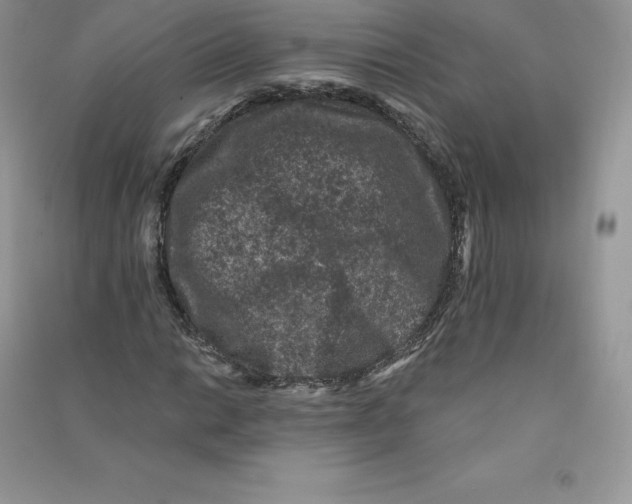 X0000090731014200708171943