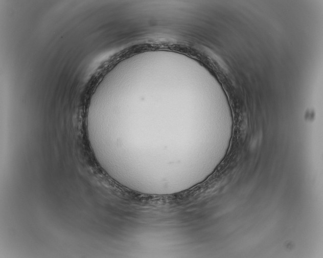 X0000090731016200708171943