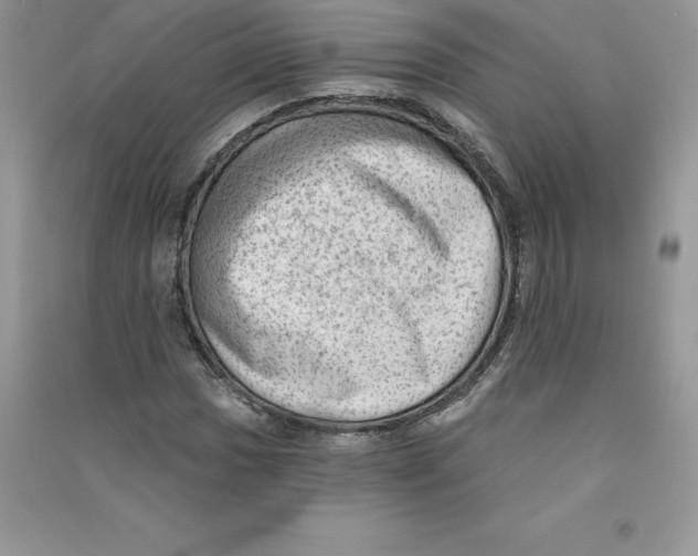 X0000090731017200708171943