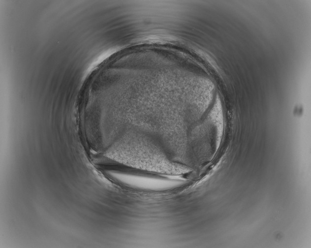 X0000090731018200708171943