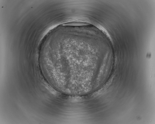 X0000090731019200708171943