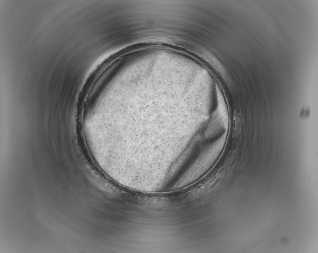 X0000090731020200708171943