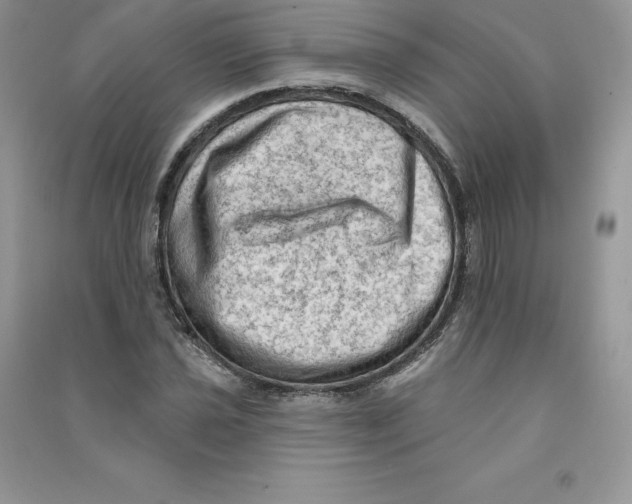 X0000090731021200708171943