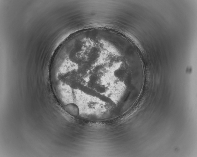 X0000090731023200708171943