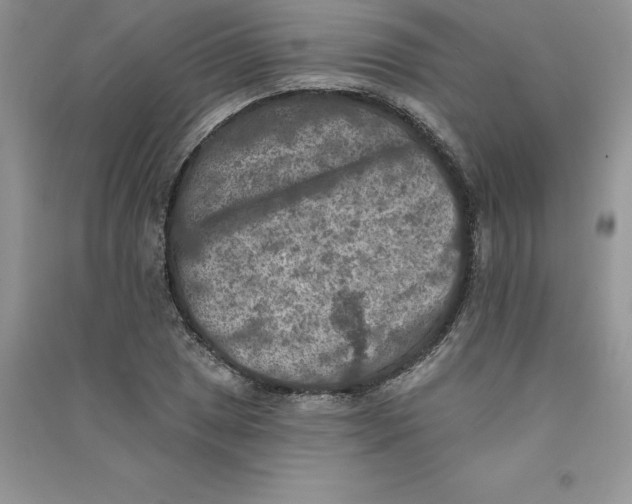 X0000090731025200708171943