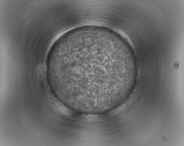 X0000090731027200708171943