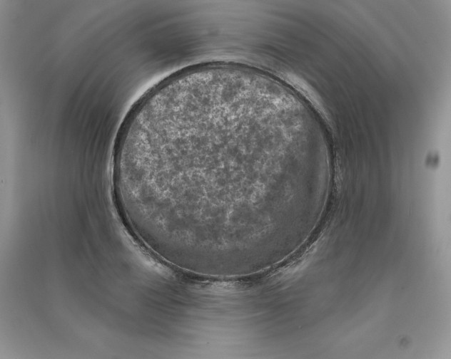 X0000090731028200708171943