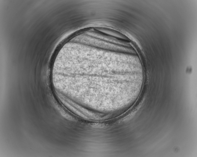 X0000090731029200708171943