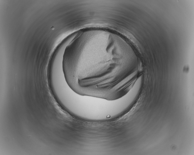 X0000090731030200708171943