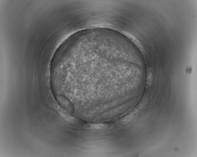 X0000090731031200708171943