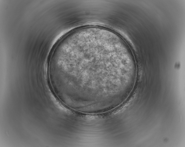 X0000090731032200708171943