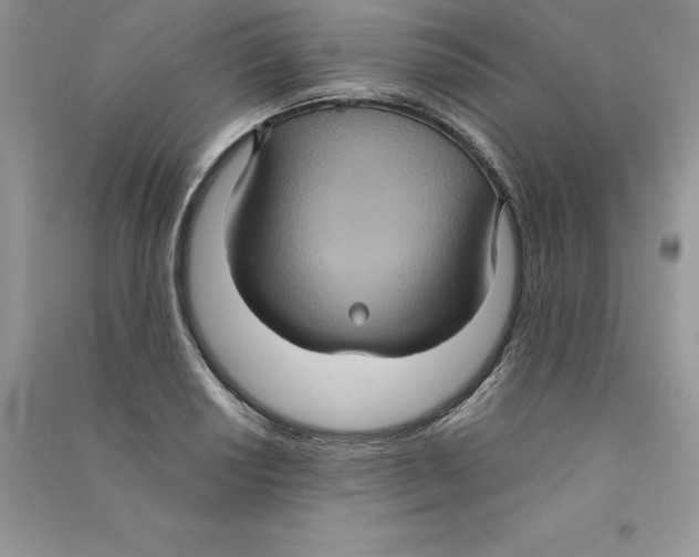 X0000090731034200708171943