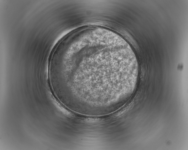 X0000090731036200708171943