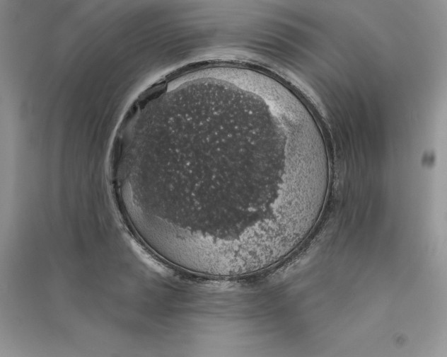 X0000090731037200708171943