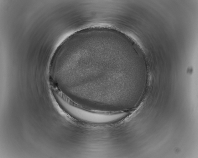 X0000090731038200708171943