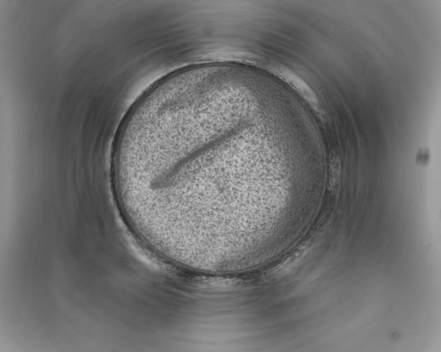 X0000090731039200708171943