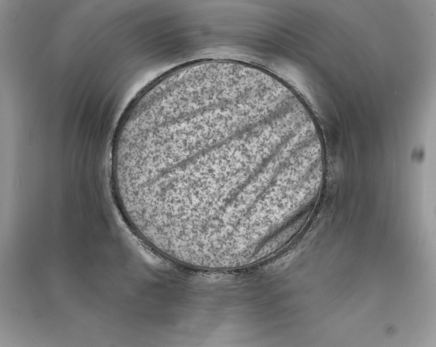 X0000090731040200708171943