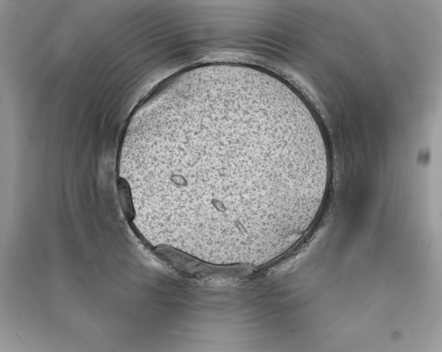 X0000090731041200708171943