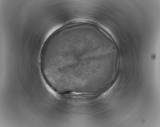 X0000090731042200708171943