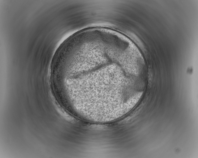 X0000090731044200708171943