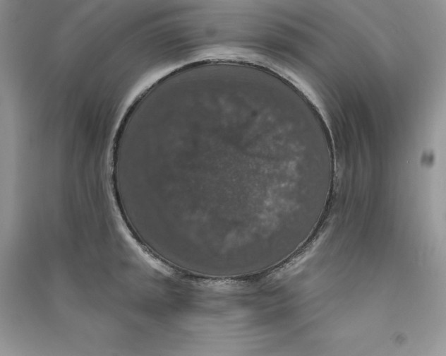 X0000090731045200708171943