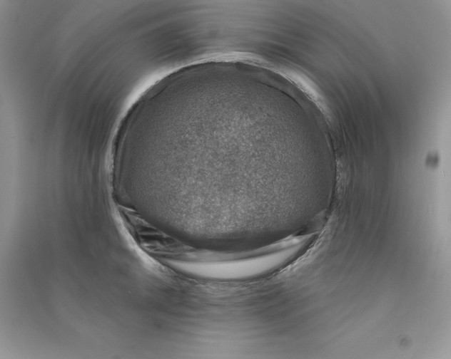 X0000090731046200708171943