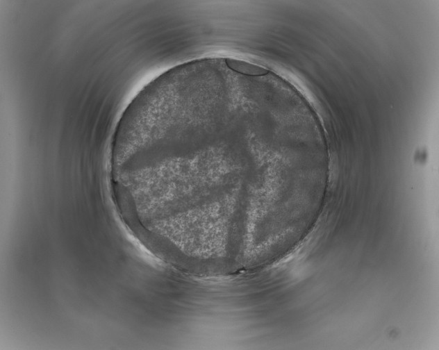 X0000090731048200708171943