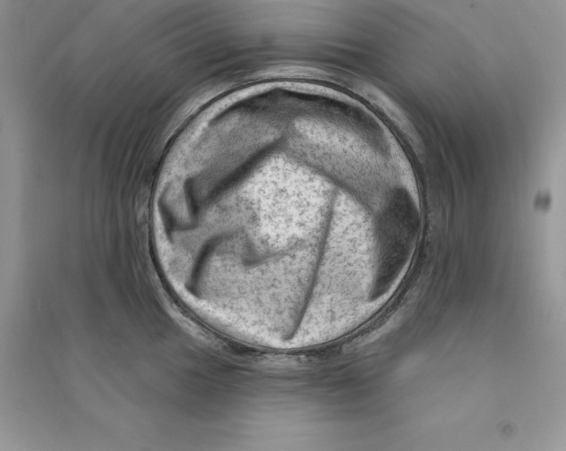 X0000090731049200708171943