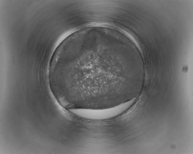 X0000090731050200708171943