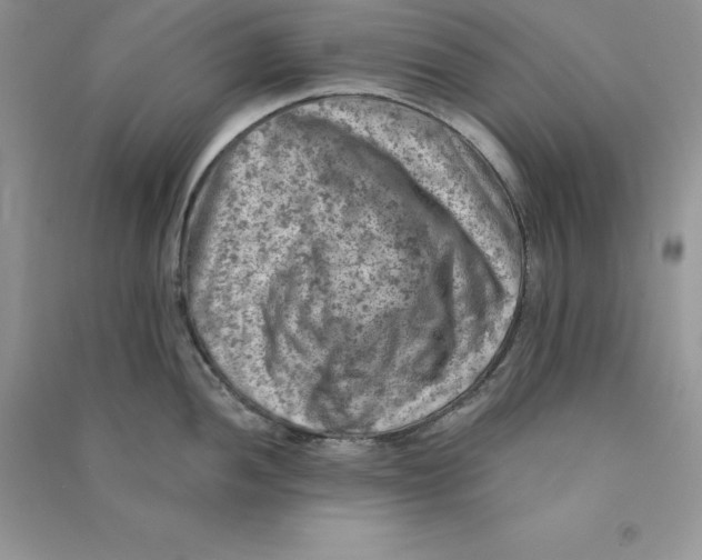 X0000090731052200708171943