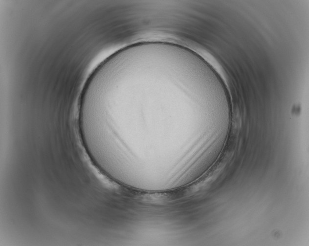 X0000090731053200708171943