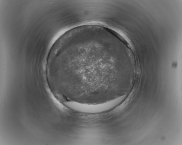 X0000090731054200708171943