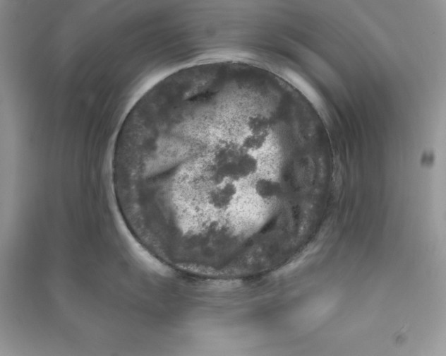 X0000090731055200708171943