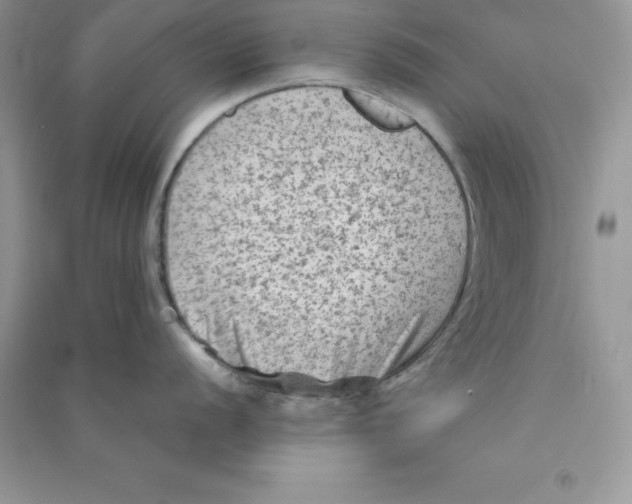 X0000090731056200708171944