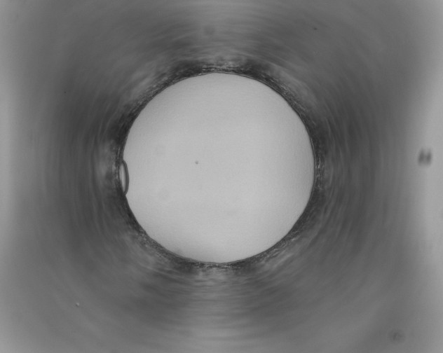 X0000090731058200708171943