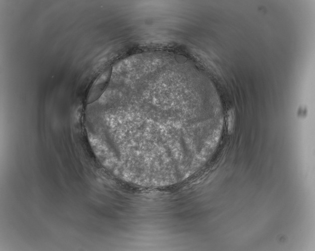 X0000090731059200708171943