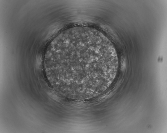 X0000090731060200708171943