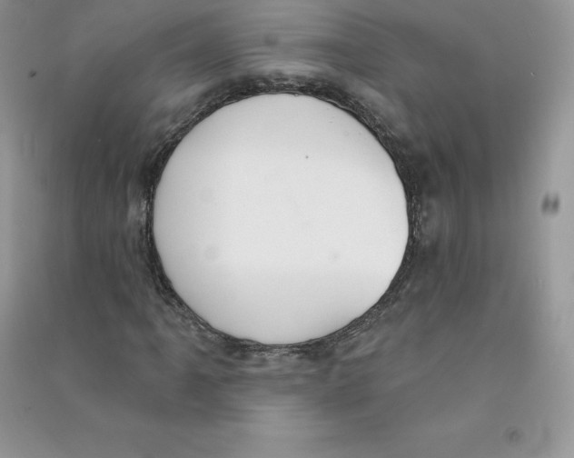 X0000090731061200708171943