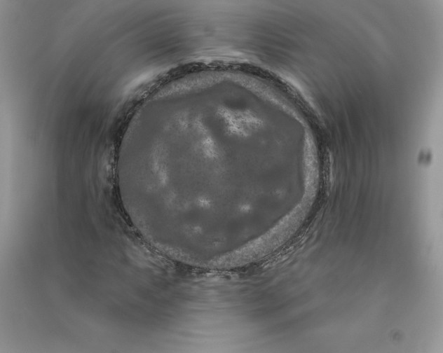 X0000090731063200708171943